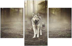 Tablou - Paznicul pădurii (90x60 cm)