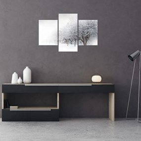 Tablou - Aleea de iarnă (90x60 cm)