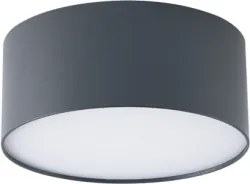 Brilagi - Plafonieră LED pentru baie FORIS, 20W, 230V, Ø 15 cm, antracit, IP44
