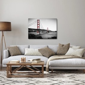 Tablou cu pod (70x50 cm)