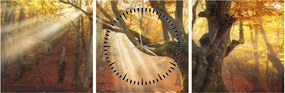 Tablou - Lumina de toamnă (cu ceas) (90x30 cm)