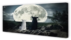 Tablouri canvas pădure Lupii luna