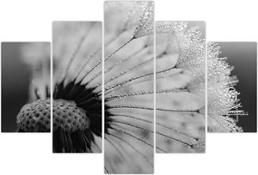 Tablou cu păpădie - albnegru (150x105 cm)