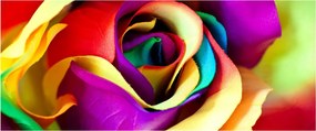 Tablou - Trandafir colorat (120x50 cm)