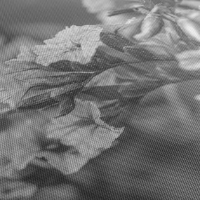 Tablou - Flori uscate (120x50 cm)