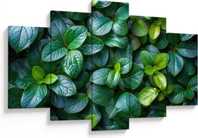 Tablou - Plante verzi (150x105 cm)