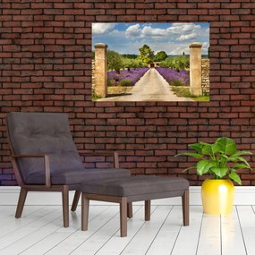 Tablou - Căi de lavandă (90x60 cm)