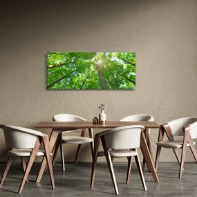 Tablou - Lunca (120x50 cm)