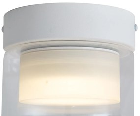 Plafonieră modernă albă cu sticlă transparentă - Puck