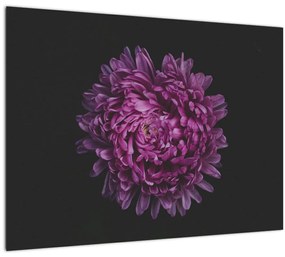 Tablou pe sticlă cu floare violetă (70x50 cm)