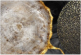 Tablou - Trunchiul copacului colaj 2 (90x60 cm)