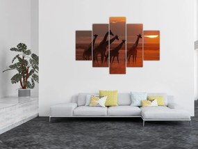 Tablou - Girafe în savana africană (150x105 cm)