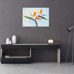 Tablou pe sticlă cu floarea Strelicie (70x50 cm)