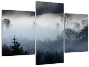 Tablou cu ceță deasupra pădurii (90x60 cm)