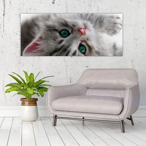 Tablou - Pisica cu ochi verzi (120x50 cm)