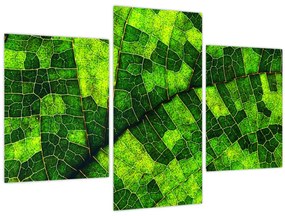 Tablou - Detaliu frunze (90x60 cm)