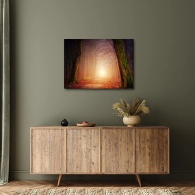 Tablou cu pădurea toamna în ceață (70x50 cm)