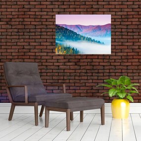 Tablou - Panoramă 2 (70x50 cm)