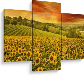 Tablou - Câmp de floarea-soarelui (90x60 cm)