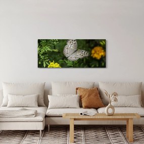 Tablou - fluture alb (120x50 cm)