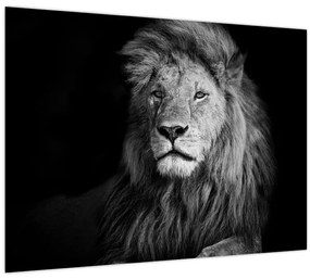 Tablou - Leu, alb și negru (70x50 cm)