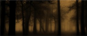 Tablou - Pădurea întunecată (120x50 cm)