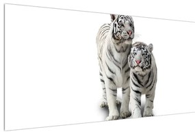 Tablou cu tigrul alb (120x50 cm), în 40 de alte dimensiuni noi