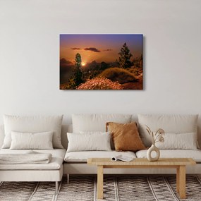 Tablou naturii cu apus de soare (90x60 cm)