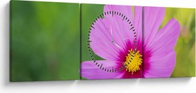 Tablou - floare de câmp (cu ceas) (90x30 cm)