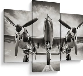Tablou - Warbird (90x60 cm)