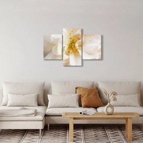 Tablou - Floare (90x60 cm)