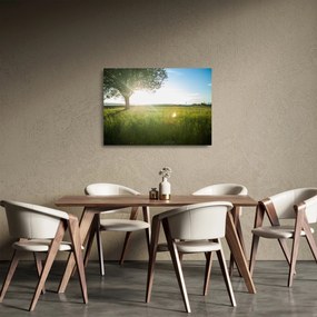 Tablou pe sticlă - Copac în câmp (70x50 cm)