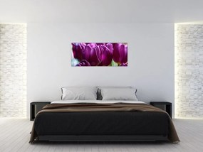 Tablou cu lalele (120x50 cm)
