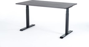 Birou reglabil electric Viva Upgrade 2.0, dual motor, 120 kg - 1400x800x25 - Logan - Negru