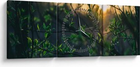 Tablou - Soarele strălucind printre crengile copacilor (cu ceas) (90x30 cm)