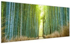 Tablou - Strada cu bambuși (120x50 cm)