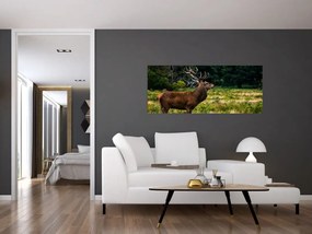 Tablou cu cerb (120x50 cm)