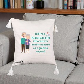Cadou pentru Bunici - Perna Personalizata Bunicii Iubirea Infloreste Cuplu Senior Teal, 40x40 cm, Bej cu Franjuri, Husa Detasabila, Perna Inclusa, BEKZ®