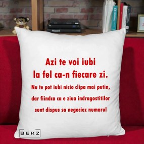 Cadou pentru Iubita - Perna Personalizata Azi Te Voi Iubi, 40x40 cm, Alb Pufos, Husa Detasabila, Perna Inclusa, BEKZ®