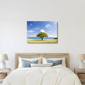 Tablou plaja cu copac (70x50 cm)