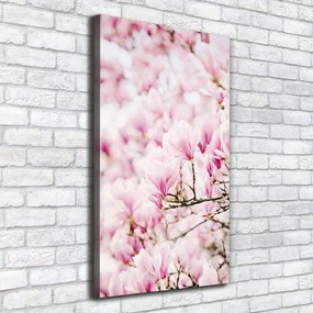 Tablouri tipărite pe pânză Flori magnolia