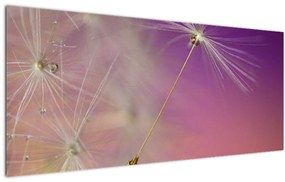 Tablou cu  floarea norocul (120x50 cm), în 40 de alte dimensiuni noi