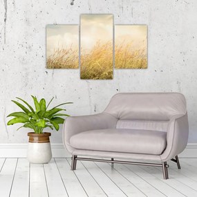 Tablou - Câmp toamna (90x60 cm)