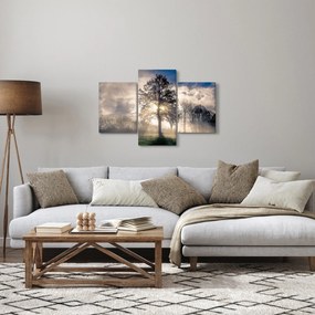 Tablou cu copac în ceață (90x60 cm)