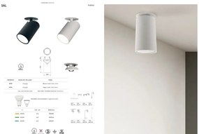 Spot incastrabil directionabil Sal alb