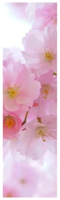 Fotojaluzele R014854R42150 (42x150 cm)