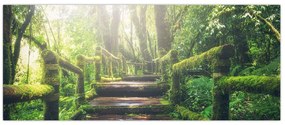 Tablou - trepte din lemn în pădure (120x50 cm)
