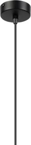 Brilagi RIDDY - Lustră LED pe cablu, 1xE27/60W/230V, neagră