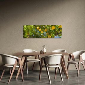 Tablou - Lămâiță (cu ceas) (90x30 cm)