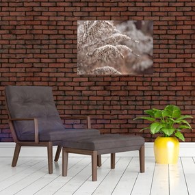 Tablou pe sticlă cu plante (70x50 cm)